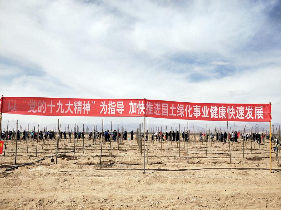 Ĺڲμֲʱǿľǧɳɫǹľ̬λ